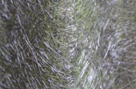 Glasnacardoch fibreglass roof work